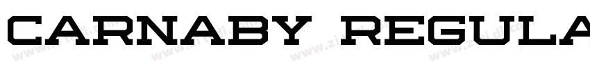 Carnaby Regular字体转换 Carnaby Regular字体转换